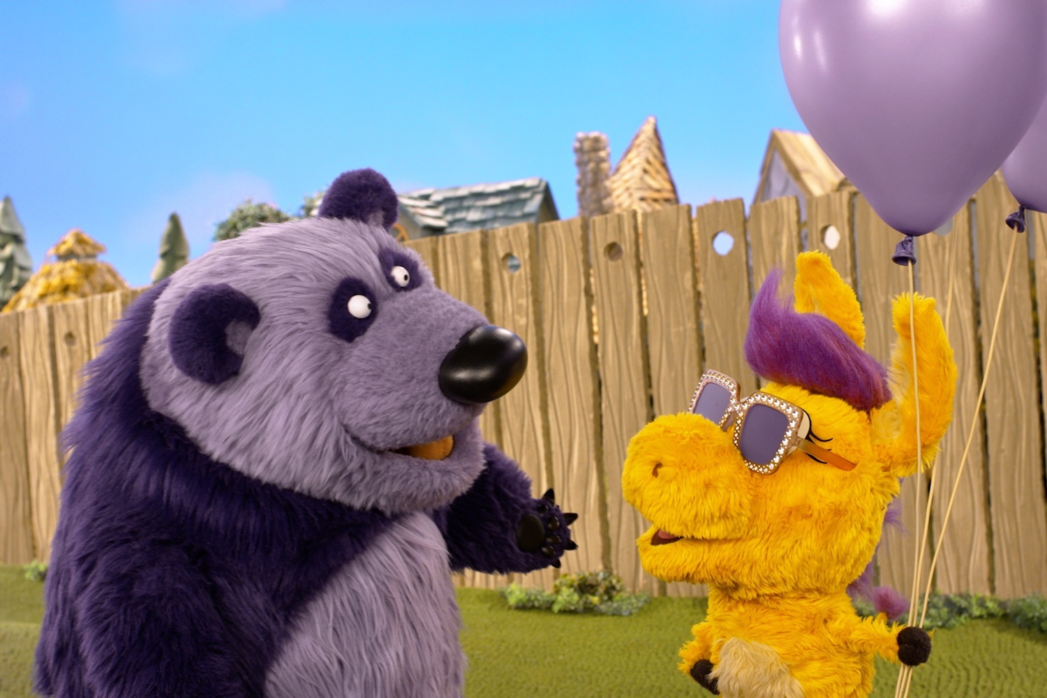 Donkey Hodie wears sunglasses after an eye exam.