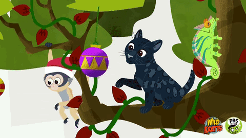 Merry-Christmas-Cat.gif?mtime=20191127122552#asset:90202